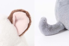 ブルーブルーエジャパン株式会社のプレスリリース画像3