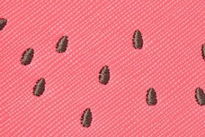 ブルーブルーエジャパン株式会社のプレスリリース画像9