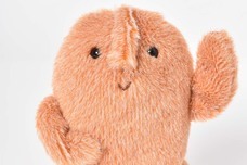 ブルーブルーエジャパン株式会社のプレスリリース画像8