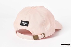 ブルーブルーエジャパン株式会社のプレスリリース画像4