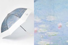 ブルーブルーエジャパン株式会社のプレスリリース画像2