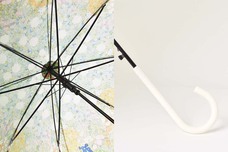 ブルーブルーエジャパン株式会社のプレスリリース画像6