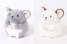 ブルーブルーエジャパン株式会社のプレスリリース画像2