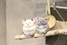 ブルーブルーエジャパン株式会社のプレスリリース画像8