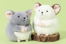 ブルーブルーエジャパン株式会社のプレスリリース画像7