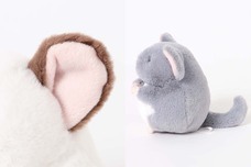 ブルーブルーエジャパン株式会社のプレスリリース画像3