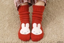 ブルーブルーエジャパン株式会社のプレスリリース画像10