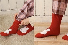 ブルーブルーエジャパン株式会社のプレスリリース画像11