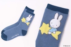 ブルーブルーエジャパン株式会社のプレスリリース画像4