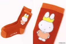 ブルーブルーエジャパン株式会社のプレスリリース画像3