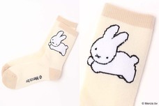 ブルーブルーエジャパン株式会社のプレスリリース画像6