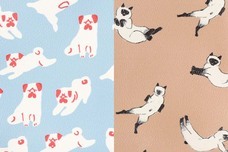 ブルーブルーエジャパン株式会社のプレスリリース画像2