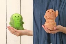 ブルーブルーエジャパン株式会社のプレスリリース画像13