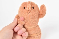 ブルーブルーエジャパン株式会社のプレスリリース画像14