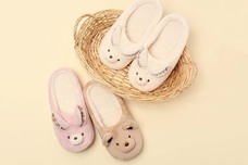 ブルーブルーエジャパン株式会社のプレスリリース画像14