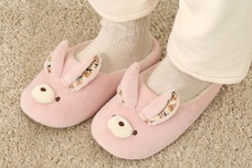 ブルーブルーエジャパン株式会社のプレスリリース画像15