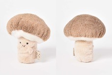 ブルーブルーエジャパン株式会社のプレスリリース画像9