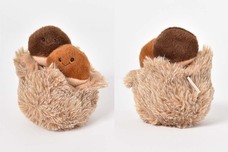 ブルーブルーエジャパン株式会社のプレスリリース画像11