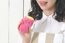 ブルーブルーエジャパン株式会社のプレスリリース画像14