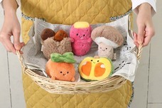 ブルーブルーエジャパン株式会社のプレスリリース画像16