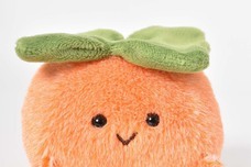 ブルーブルーエジャパン株式会社のプレスリリース画像6