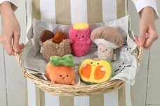 ブルーブルーエジャパン株式会社のプレスリリース画像17