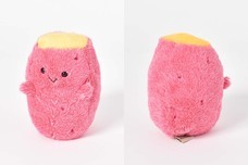 ブルーブルーエジャパン株式会社のプレスリリース画像3