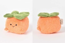 ブルーブルーエジャパン株式会社のプレスリリース画像5