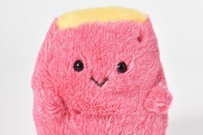 ブルーブルーエジャパン株式会社のプレスリリース画像4