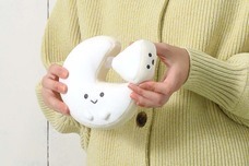 ブルーブルーエジャパン株式会社のプレスリリース画像13