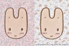 ブルーブルーエジャパン株式会社のプレスリリース画像17