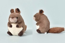 ブルーブルーエジャパン株式会社のプレスリリース画像4