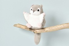 ブルーブルーエジャパン株式会社のプレスリリース画像13