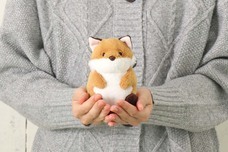 ブルーブルーエジャパン株式会社のプレスリリース画像11