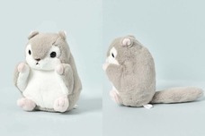 ブルーブルーエジャパン株式会社のプレスリリース画像6