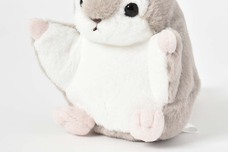 ブルーブルーエジャパン株式会社のプレスリリース画像7