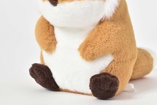 ブルーブルーエジャパン株式会社のプレスリリース画像3