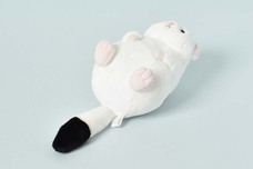 ブルーブルーエジャパン株式会社のプレスリリース画像9