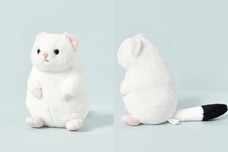 ブルーブルーエジャパン株式会社のプレスリリース画像8