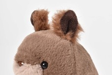 ブルーブルーエジャパン株式会社のプレスリリース画像5