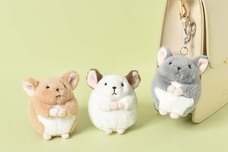 ブルーブルーエジャパン株式会社のプレスリリース画像11