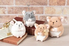 ブルーブルーエジャパン株式会社のプレスリリース画像9