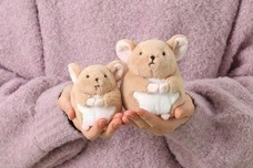 ブルーブルーエジャパン株式会社のプレスリリース画像13