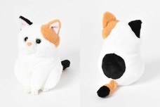 ブルーブルーエジャパン株式会社のプレスリリース画像7