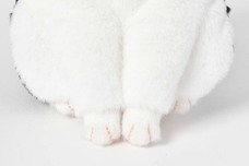 ブルーブルーエジャパン株式会社のプレスリリース画像9