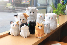 ブルーブルーエジャパン株式会社のプレスリリース画像1