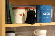 ブルーブルーエジャパン株式会社のプレスリリース画像18