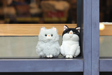 ブルーブルーエジャパン株式会社のプレスリリース画像16