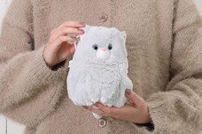 ブルーブルーエジャパン株式会社のプレスリリース画像14