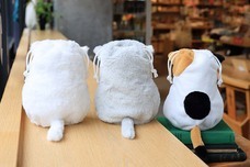 ブルーブルーエジャパン株式会社のプレスリリース画像12